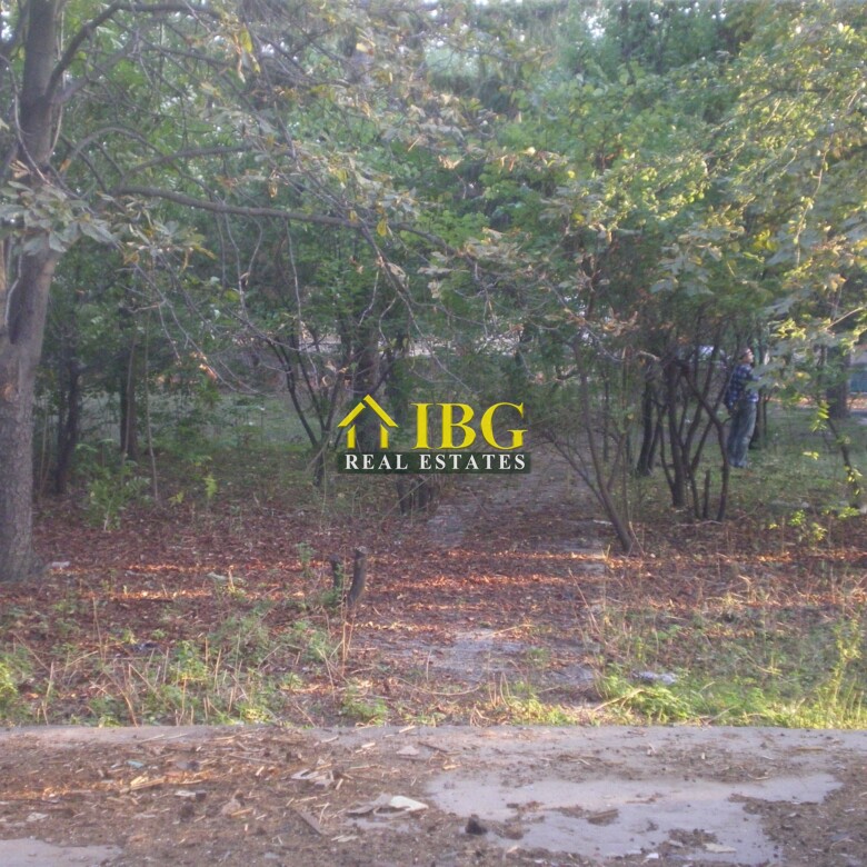 Two buildings and large plot of land near Ruse