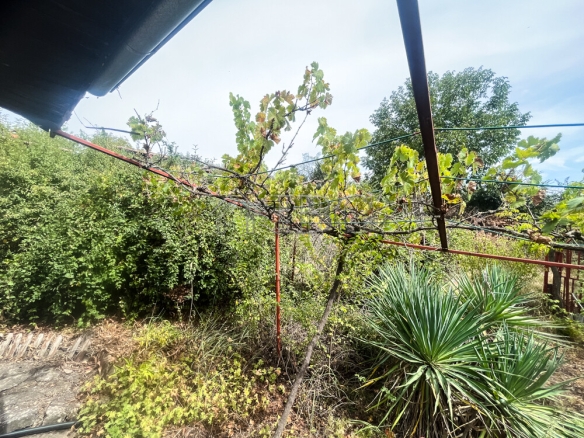 Villa with nice garden only 5 km. to Ruse city