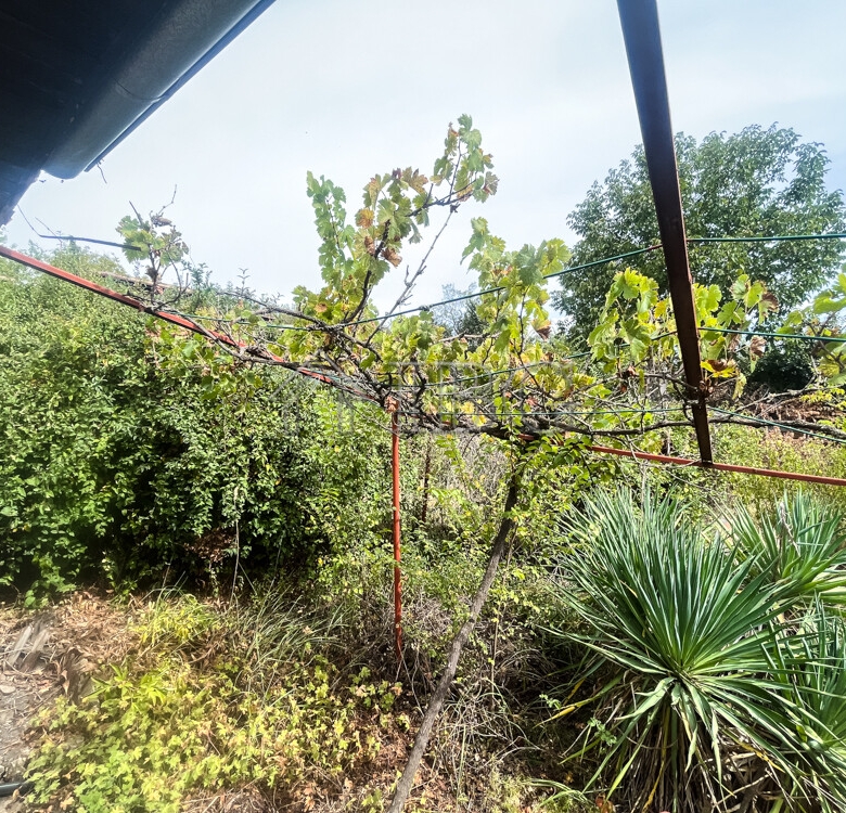 Villa with nice garden only 5 km. to Ruse city