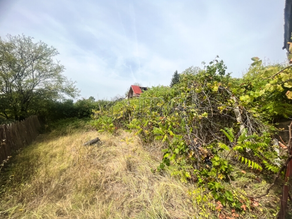 Villa with nice garden only 5 km. to Ruse city