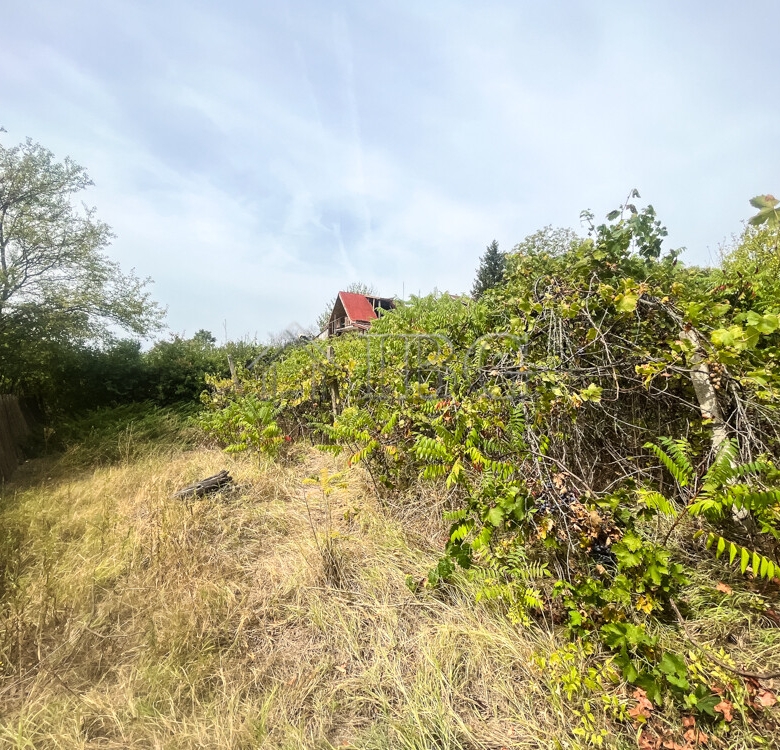 Villa with nice garden only 5 km. to Ruse city