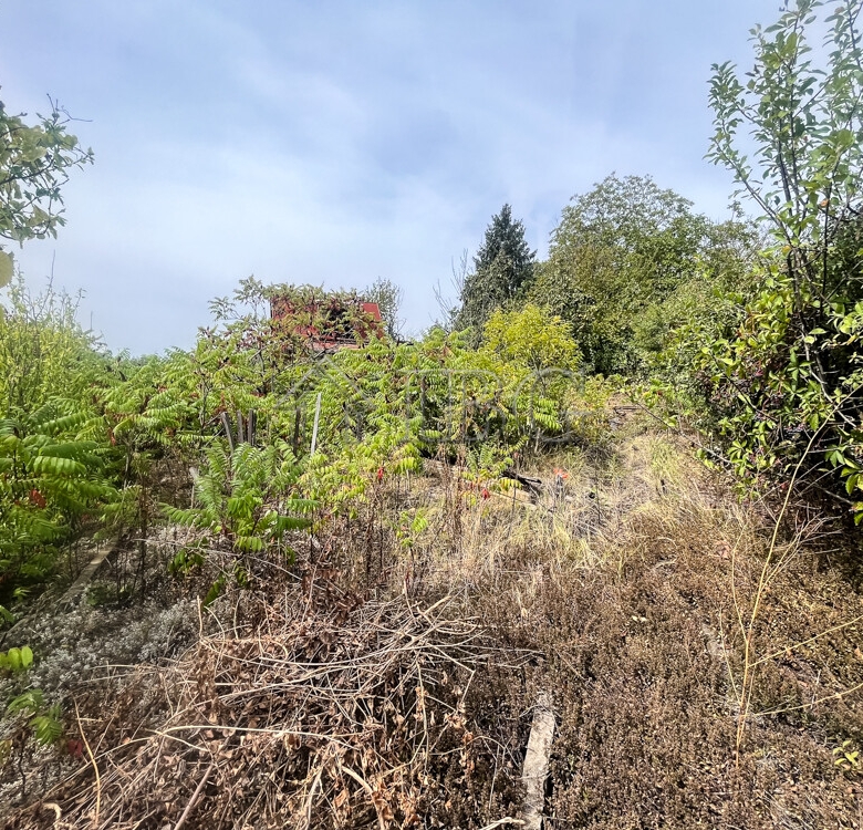 Villa with nice garden only 5 km. to Ruse city