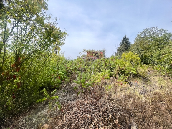 Villa with nice garden only 5 km. to Ruse city