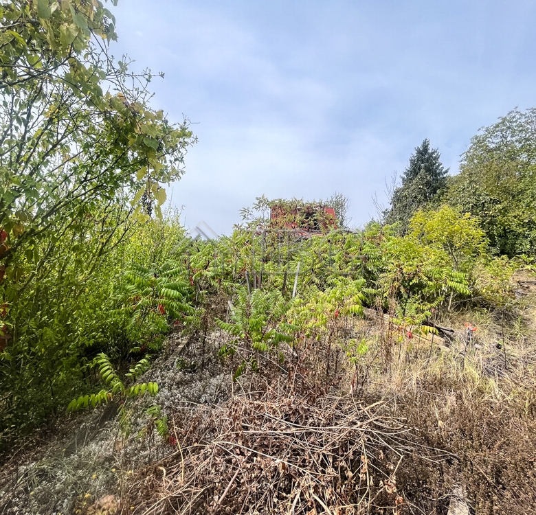Villa with nice garden only 5 km. to Ruse city